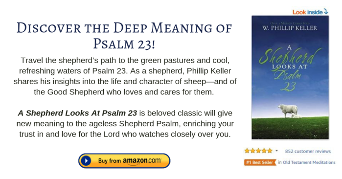 A Shepherd Looks at Psalm 23 (amazon book)